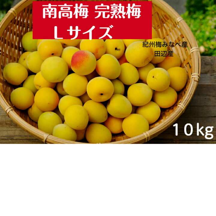 楽天市場】南高梅 (完熟梅 ) (秀品) Lサイズ 10kg 梅干し 梅干し用 