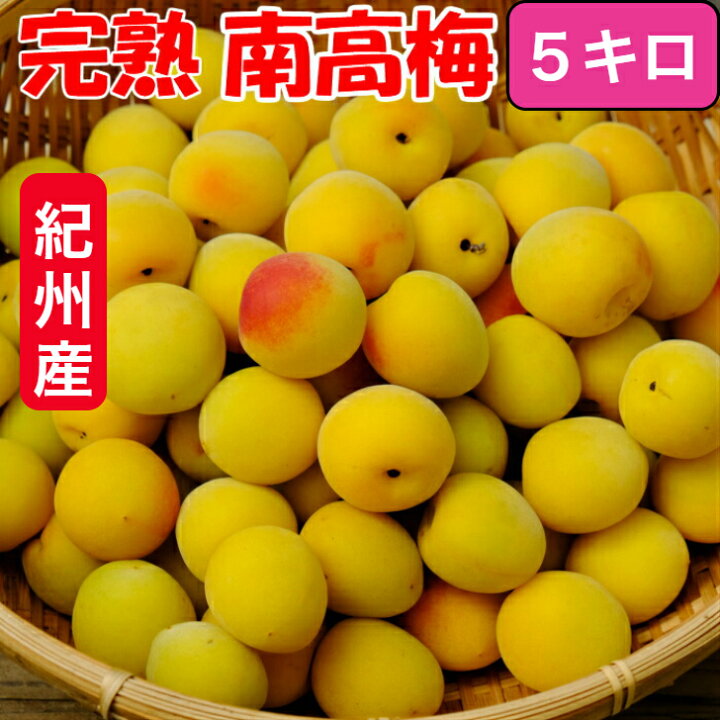 楽天市場】【優品】南高梅 完熟梅 3L/2Lサイズ 5kg サイズ混合の場合 