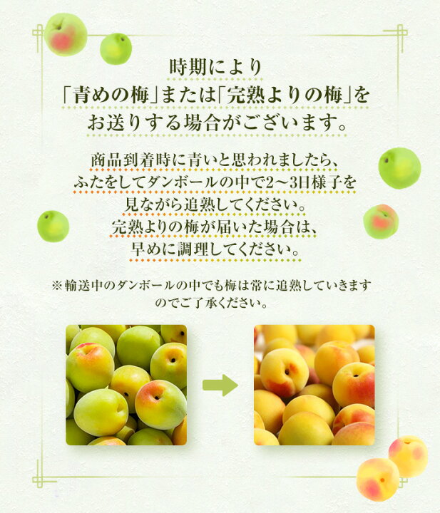 楽天市場】和歌山県産 紀州南高梅 【完熟梅】A級品 Lサイズ （小粒 