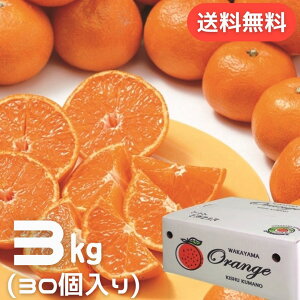 a̎RYyGizn݂ MTCY 3kg ʍ͔| Â Ղ  IB a̎R I B݂ ݂ ݂ n Z x Â   t[c ƒp Ε Mtg 