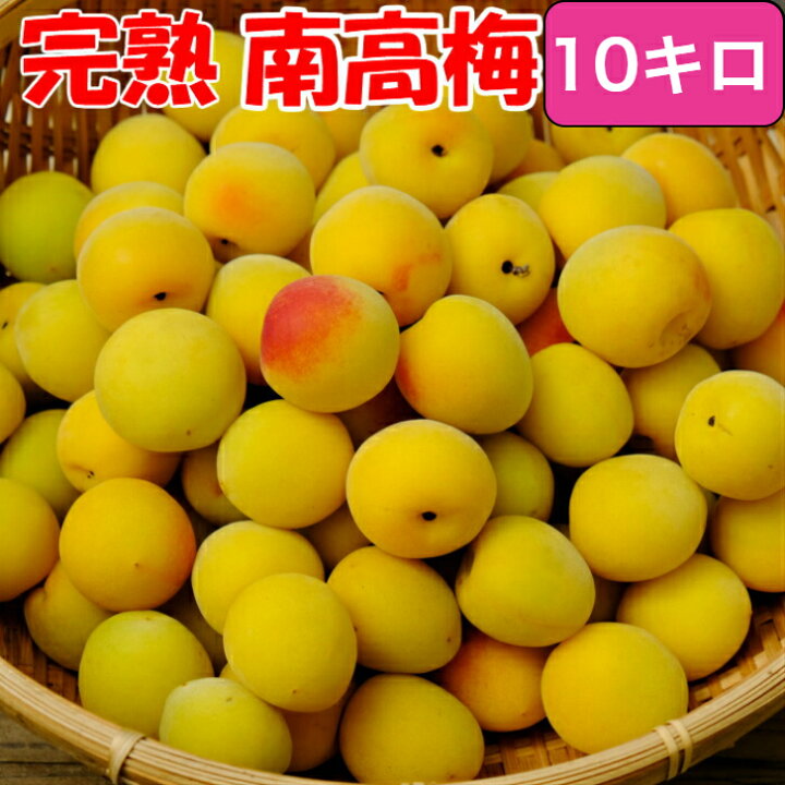 楽天市場】【赤秀青秀品混合】南高梅 【完熟梅 】3L/2L 10kg 