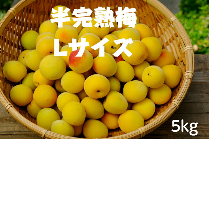 楽天市場】南高梅 (完熟梅 ) (秀品) Lサイズ 5kg 梅干し 梅干し用 梅酒 