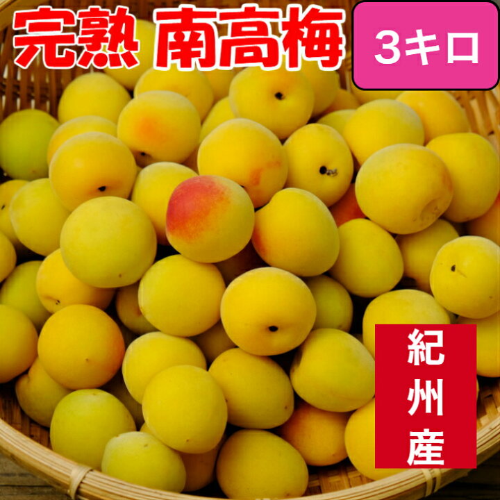 楽天市場】南高梅 【優品】完熟梅 3L/2Lサイズ 3kg 多少の傷スレ傷が  