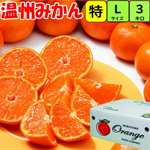 a̎RyIzn ݂ LTCY 3kg IB a̎R I B݂ Z x Â t[c ƒp Ε Ε Mtg p