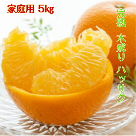 楽天市場】紀州南高梅 【完熟梅】【A級品】3Lサイズ 5kg 送料無料 