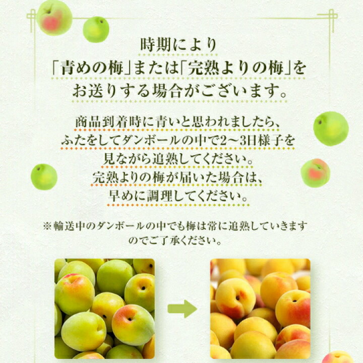 楽天市場】和歌山県産 【樹熟梅・中熟】 3kg L～3Lサイズ （B級品 