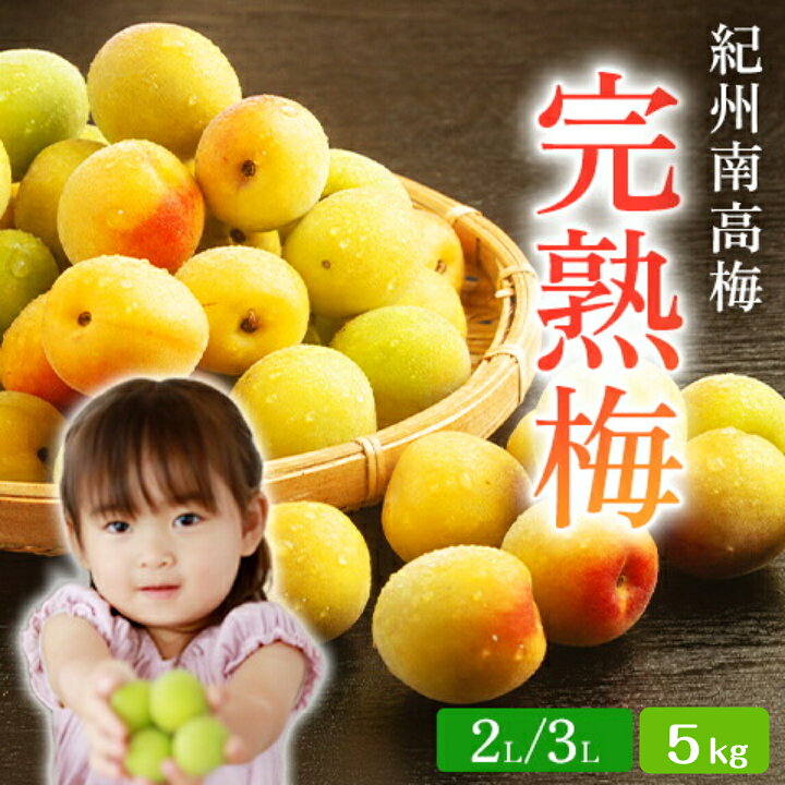 楽天市場】和歌山県産 【完熟梅】 (B級品) 傷アリ 3L/2Lサイズ 5kg 