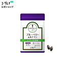 メディカプラス ブルーベリー＆ルテイン | ミドリムシ サプリ サプリメント みどりむし ユーグレナ パラミロン 健康食…