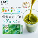からだにユーグレナ グリーンパウダー 乳酸菌 30本入り │ ユーグレナ サプリメント 緑汁 青汁 ミドリムシ みどりむし ミドリむし サプリ 健康食品 健康飲料 栄養補助食品 男性 女性 ビタミン ミネラル アミノ酸 鉄 明日葉 大麦若葉 グリーンパウダー乳酸菌 宅配便秘密発送
