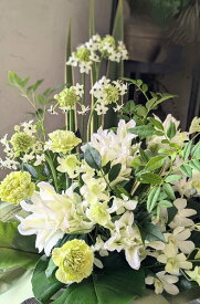 ソーシャルギフトでポイント10倍【9/11＊1:59迄】◆「開店祝い 花」「お祝い 花」「祝い花」「楽天市場花ギフト」「お祝い 花」「開店 祝い +楽天」「開院祝」「楽天市場 お祝い 花」「開店祝い」「開店祝い 花 楽天」」「開店祝い プレゼント」「オープン祝い 花」