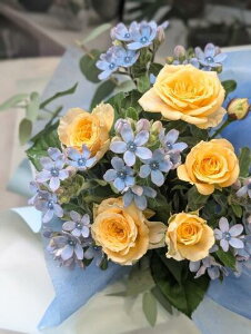 13YŗViuF̉ԁvuu[X^[v́uԑvuu[̉ԁvuԁvuu[̃u[Pvua ԁvuu[X^[@ԁvuav[gvua