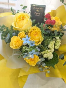 13Yŗut[AWgvua ԁvua  +yVvua  AWgvu ԁvuj AWt[vuav[gvut[A