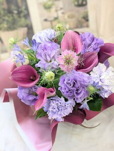 13YŗuF̃AWvua ԁvuÊ@vuÊ̂jvut[AW vuԁ@@AWgvua@ԁvuÊ̂jvuԁ@@AW