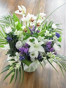 AWuAWg@vu  AWgvut[AWg vu t[AWgvu  vu  AWvu