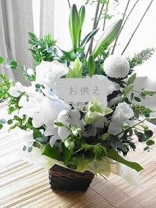 mԂ̂AWg u  AWgvu t[AWgvu ԁvuԁvuԁ@vuԁ@LOvut[