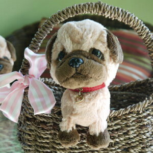 uʃJSpOviڊ烏 pO ʂ݁jyyMt_zyyMt_bŹz