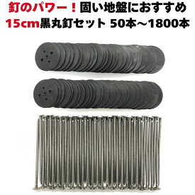 防草シート 人工芝 押さえ用 黒丸釘セット 黒丸板と15cm釘セット 50本 /100本 / 200本 / 300本 / 600本 / 1200本 / 1800本 特殊釘 雑草対策