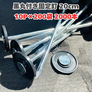 yႭB 20cm 10P hV[g lH B ەt 10{/500{/1000{/2000{ Zbg O B G΍ Œs AJ[s Tus Ȃǂ̑p Ɩp  K[fpi