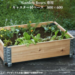 K[f{bNXp 800×600 LX^[tx[X {bNXʔ ad-0806base G[vXfUC a+ design garden boxes { Y Ԓd v^[ ƒ؉   CYhxbh CY