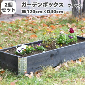 K[f{bNX 1200×400 ubN 2Zbg  a+ design garden boxes Ԓd v^[ ƒ؉   4͂ ubN d؂  G[vX CYhxbh CYhK[f DIY |