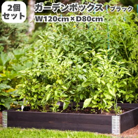 ガーデンボックス 木製 家庭菜園 1200×800 ブラック 黒 2個セット a+design 国産木材 日本製 サステナブル レイズドベッド 立ち上げ花壇 プランター アルミ 組立簡単 野菜 ハーブ DIY スタッキング エープラス 花壇 庭 ベランダ