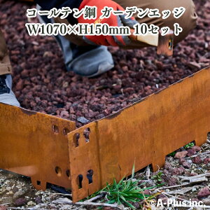 Patina K[fGbW1000 10Zbg R[e| Ԓd ͂ y  AY GbWO ؂ K[ftFX d؂ yXgbp[