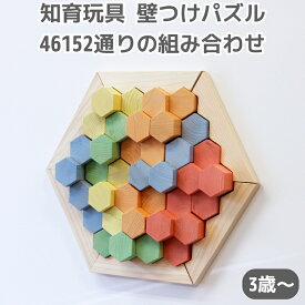 知育玩具 日本製 木製おもちゃ 壁付けパズル 46152通りの組み合わせ パズマグ 3歳から 指先トレーニング 出産祝い 男の子 女の子 プレゼント ギフト 友達 友人 実用的 長く使える BROTO PROJECT