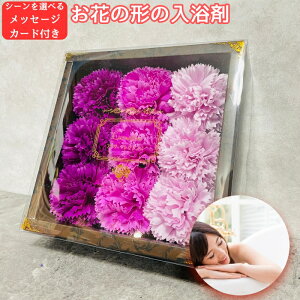  v[g Mtg ł킢Ԃ̌`̃oXtOX J[l[VtOX L753701 v`Mtg \[vt[ pϕi ouoX ǒ`̉Ԃт  v`