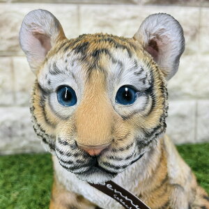 g̒u  ^CK[ E v[g Mtg 蕨 u  A Aj}IuWF CeA 킢  K[fI[ig ֐  G