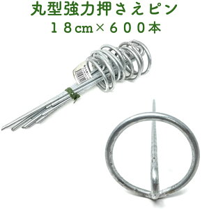 hV[gp ͊ی^Œs 18cm 600{Zbg  AJ[s }`  lH V[g s R^  G΍