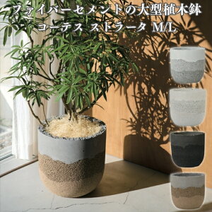 鉢カバー 14号」の人気商品一覧 | 安い商品を通販サイトから探す 