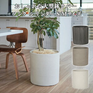 鉢 14号 軽量」の人気商品一覧 | 安い商品を通販サイトから探す - 価格.com