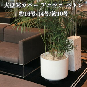 鉢 14号 軽量」の人気商品一覧・価格比較 - 価格.com