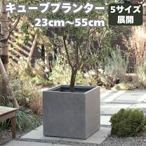 楽天市場】鉢 kontonの通販