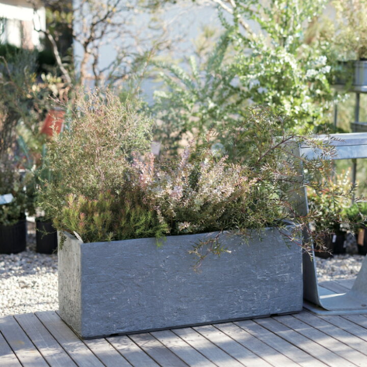 楽天市場】植木鉢 大型 おしゃれ 長方形 スリム プランターボックス 