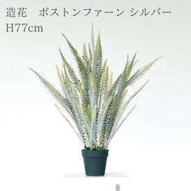 観葉植物 造花 ボストンファーン シルバー BROWN 全高約77cm 卓上・小型 フェイクグリーン 本物そっくり おしゃれ インテリア 人工観葉植物 アーティフィシャルグリーン オフィス 店舗 ホテル 開店祝い 室内 ミニ シダ タマシダ フェイク