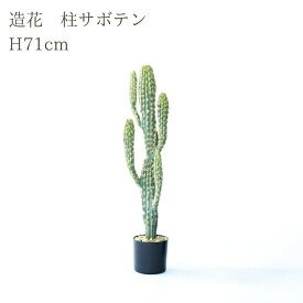 観葉植物 造花 柱サボテン BROWN 全高約71cm 卓上・小型 フェイクグリーン 本物そっくり おしゃれ インテリア 人工観葉植物 アーティフィシャルグリーン オフィス 店舗 ホテル 開店祝い 室内 ミニ サボテン カクタス フェイク