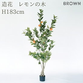 観葉植物 造花 レモンの木 BROWN 全高約183cm 大型 実付き フェイクグリーン 高級 本物そっくり リアル おしゃれ インテリア 人工観葉植物 アーティフィシャルグリーン オフィス 店舗 カフェ 開店祝い 室内 リビング 玄関 風水 果樹 檸檬