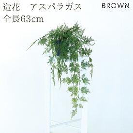 観葉植物 造花 アスパラガス BROWN 全長約63cm フェイクグリーン 高級 本物そっくり リアル おしゃれ 卓上 インテリア 人工観葉植物 アーティフィシャルグリーン 垂れ下がる ふわふわ オフィス 店舗 開店祝い 室内 リビング 玄関 トイレ 風水 アスパラガスファーン