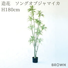 観葉植物 造花 ソングオブジャマイカ BROWN 全高約180cm 大型 フェイクグリーン 高級 本物そっくり リアル おしゃれ スタイリッシュ インテリア 人工観葉植物 アーティフィシャルグリーン モダン オフィス 店舗 ホテル 開店祝い 室内 リビング 玄関 風水 ドラセナ
