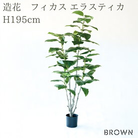 観葉植物 造花 フィカス エラスティカ BROWN 全高約195cm 大型 株立ち フェイクグリーン 高級 本物そっくり リアル おしゃれ インテリア 人工観葉植物 アーティフィシャルグリーン オフィス 店舗 ホテル 開店祝い 室内 リビング 玄関 風水 ゴムの木 インドゴムノキ