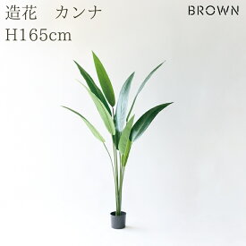 観葉植物 造花 カンナ BROWN 全高約165cm 大型 スリム フェイクグリーン 高級 本物そっくり リアル おしゃれ インテリア 人工観葉植物 アーティフィシャルグリーン 南国 オフィス 店舗 ホテル 開店祝い 室内 リビング 玄関 寝室 風水 フェイク
