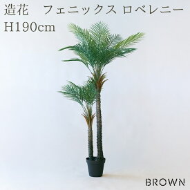 観葉植物 造花 フェニックス ロベレニー BROWN 全高約190cm 大型 フェイクグリーン 高級 本物そっくり リアル おしゃれ インテリア 人工観葉植物 アーティフィシャルグリーン 2本立ち オフィス 店舗 ホテル 開店祝い 室内 リビング 玄関 風水 ヤシの木 シンノウヤシ