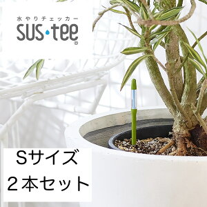 `FbJ[ TXeB[ y됅v sustee VOpbN S O[ 2{Zbg A ϗtA 