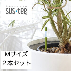 `FbJ[ TXeB[ y됅v sustee VOpbN M O[ 2{Zbg A ϗtA 