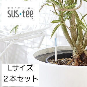 `FbJ[ TXeB[ y됅v sustee VOpbN L zCg 2{Zbg A ϗtA 