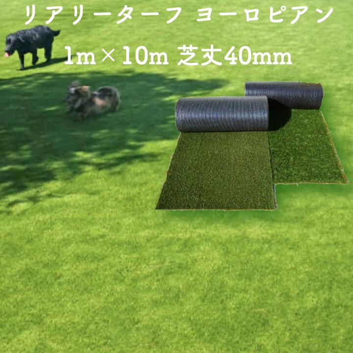楽天市場】高級人工芝 リアリーターフ ヨーロピアンロング パイル40mm 