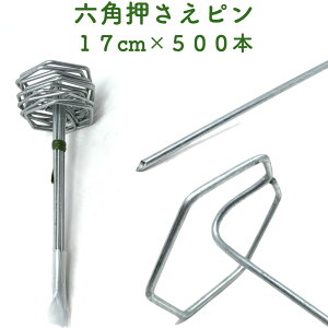 hV[gp ZpŒs 17cm 500{Zbg  AJ[s }`  lH V[g s R^  G΍ sDzV[gȂǂ