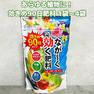90^CvL@Ȃ엿 1kg 2kg 4kg  ǔ   ʕ NsAȂǂ̃OhJo[ɂ XCJ イ g}g ~jg}g s[} pvJ C`S iX