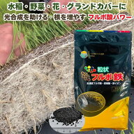 粒状フルボ鉄 3kg 肥料 土壌改良資材入り指定混合肥料 高濃度フルボ酸 腐植酸 水稲 野菜 花 グランドカバ…